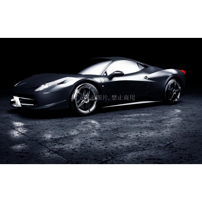 Pneumatic seat system